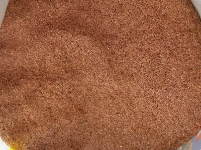 首页- 新宝GG集团创造事业平台