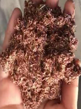 首页- 新宝GG集团创造事业平台